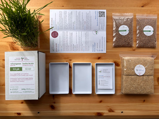 Homegrown Wheatgrass Kit