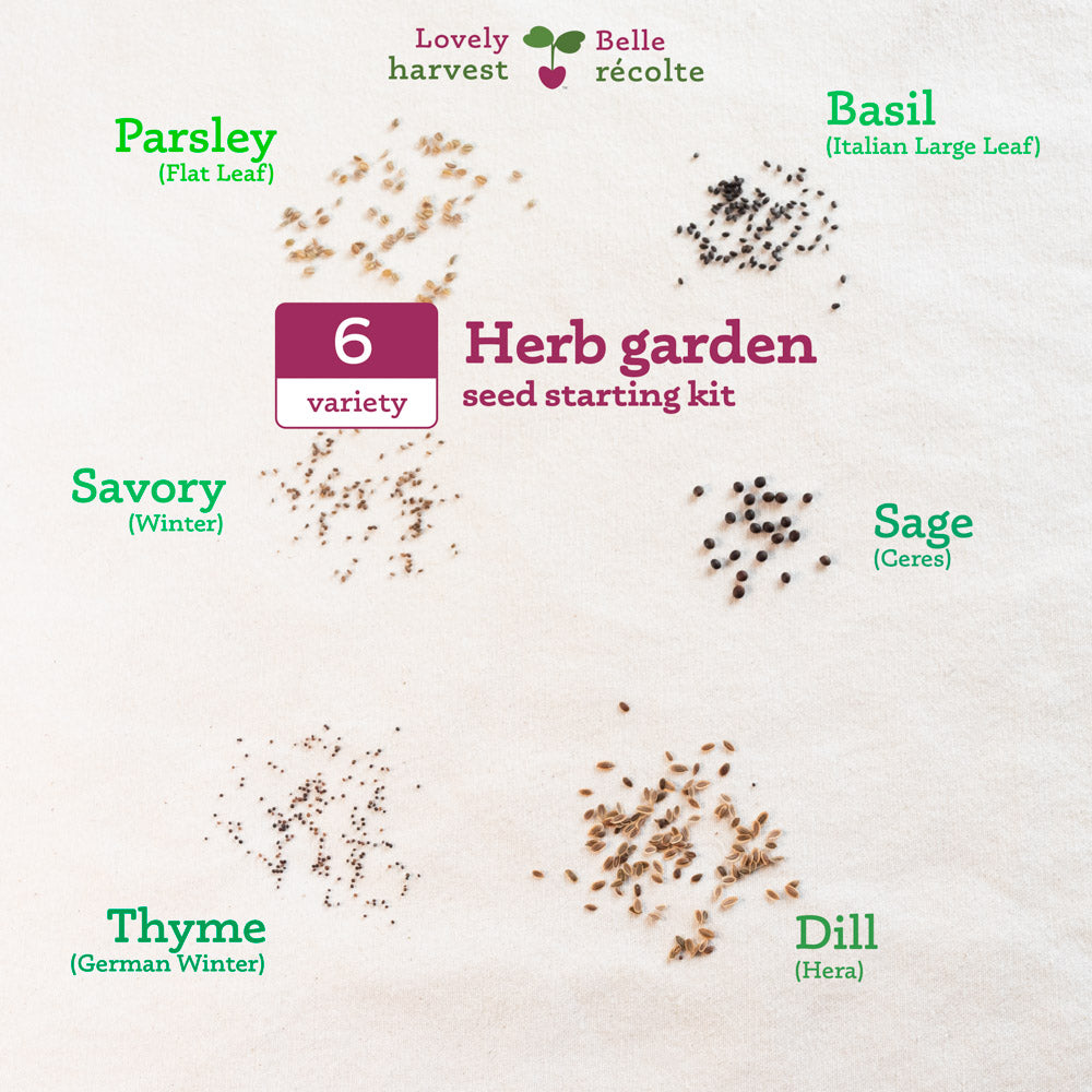 Organic Herb Garden Starter Kit - 6 Varieties