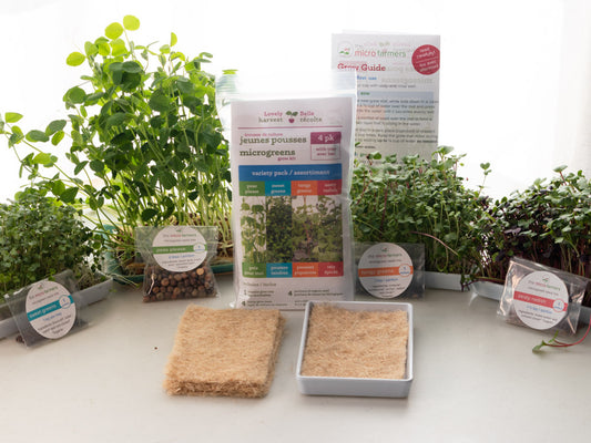 microgreens starter grow kit | reusable grow tray and 4 refills with organic seed mixes and natural grow mats