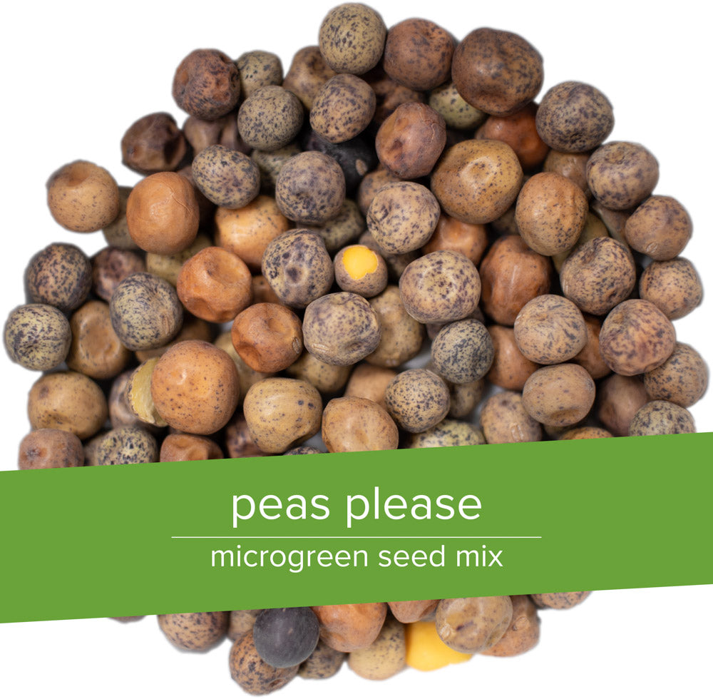 peashoot microgreens grow kit | grow a delicious blend of peashoot microgreens with natural hemp grow mats