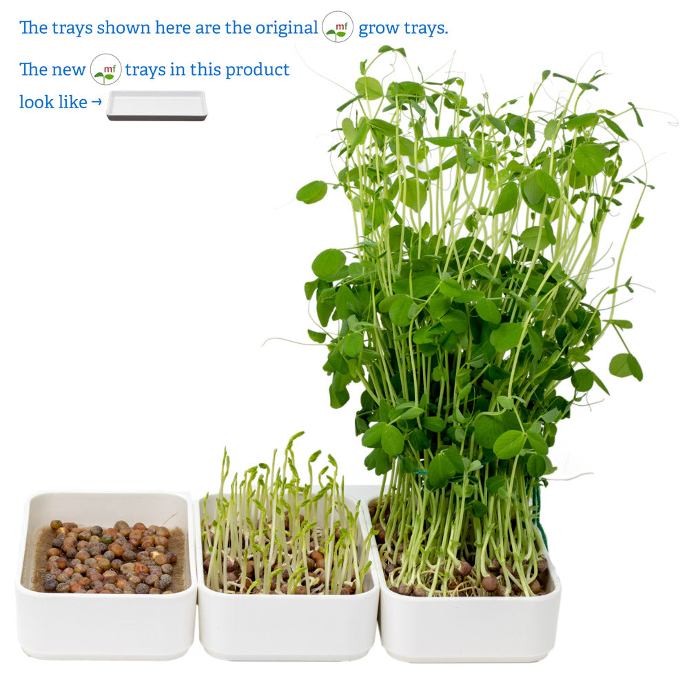 microgreens grow kit with tray | variety pack | 24 refills, 6 reusable trays, organic seed mixes