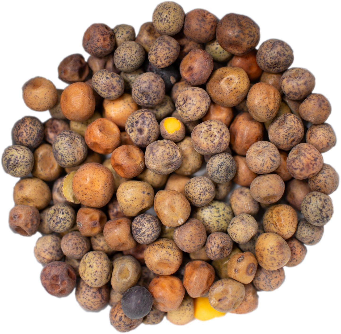 microgreen refill portion | organic sprouting seed and natural hemp grow mat