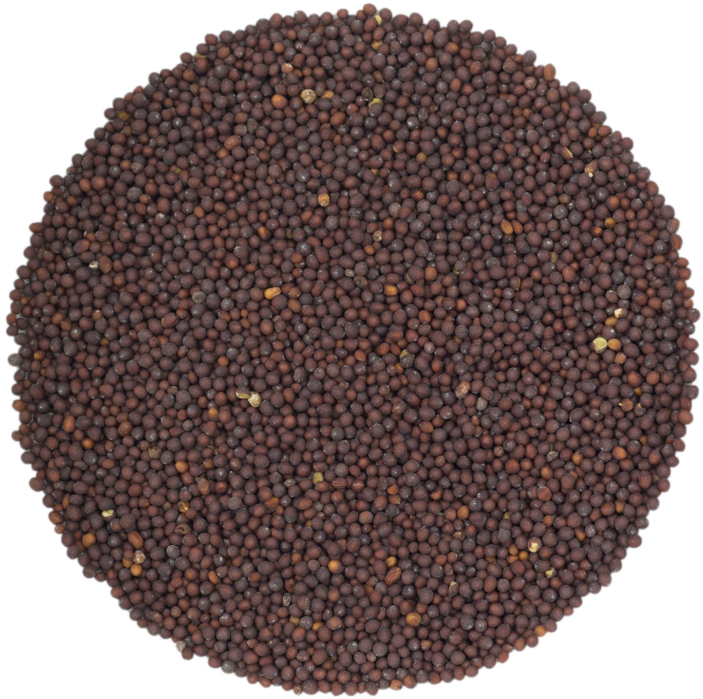 microgreen refill portion | organic sprouting seed and natural hemp grow mat