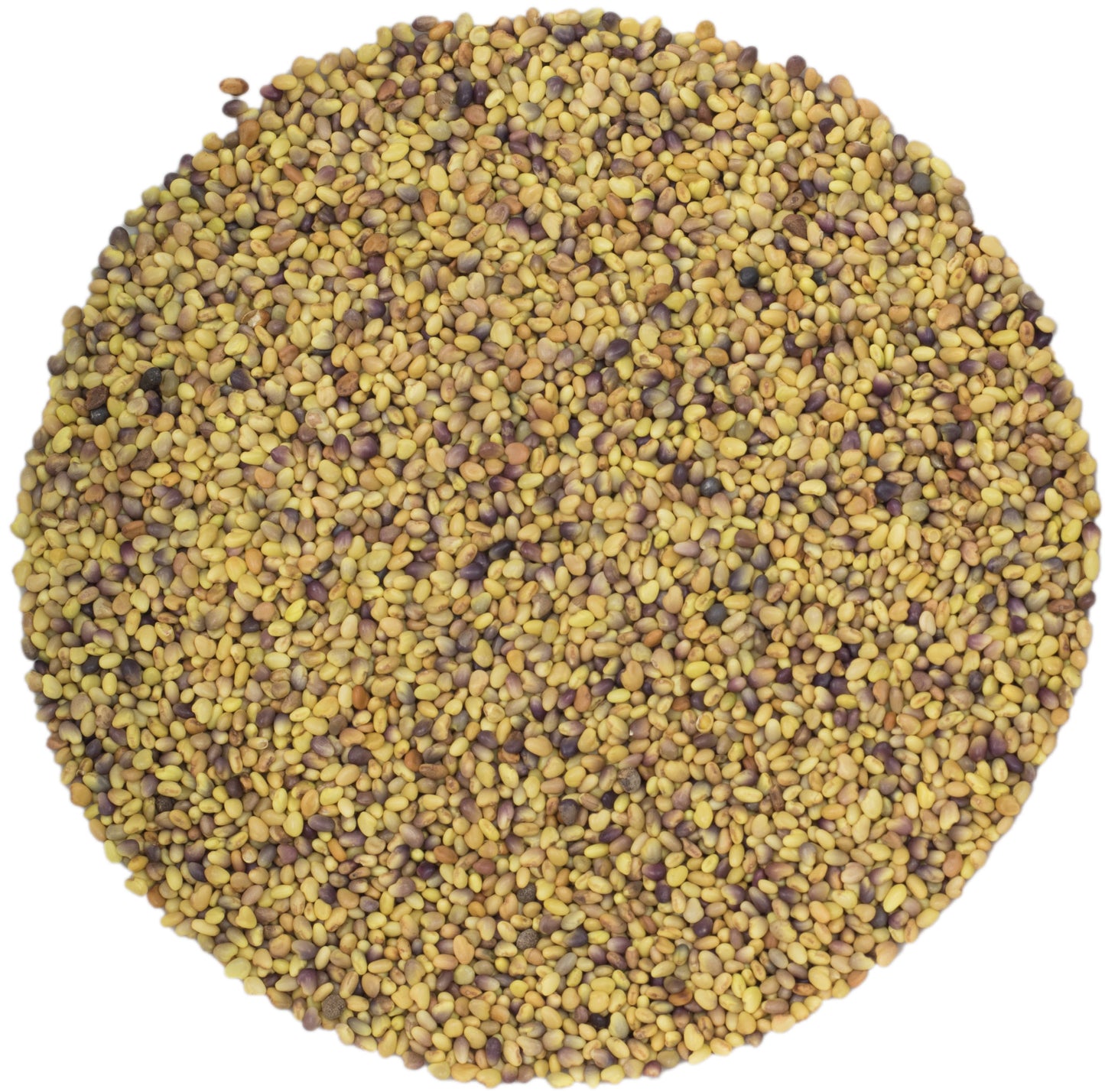 microgreen refill portion | organic sprouting seed and natural hemp grow mat