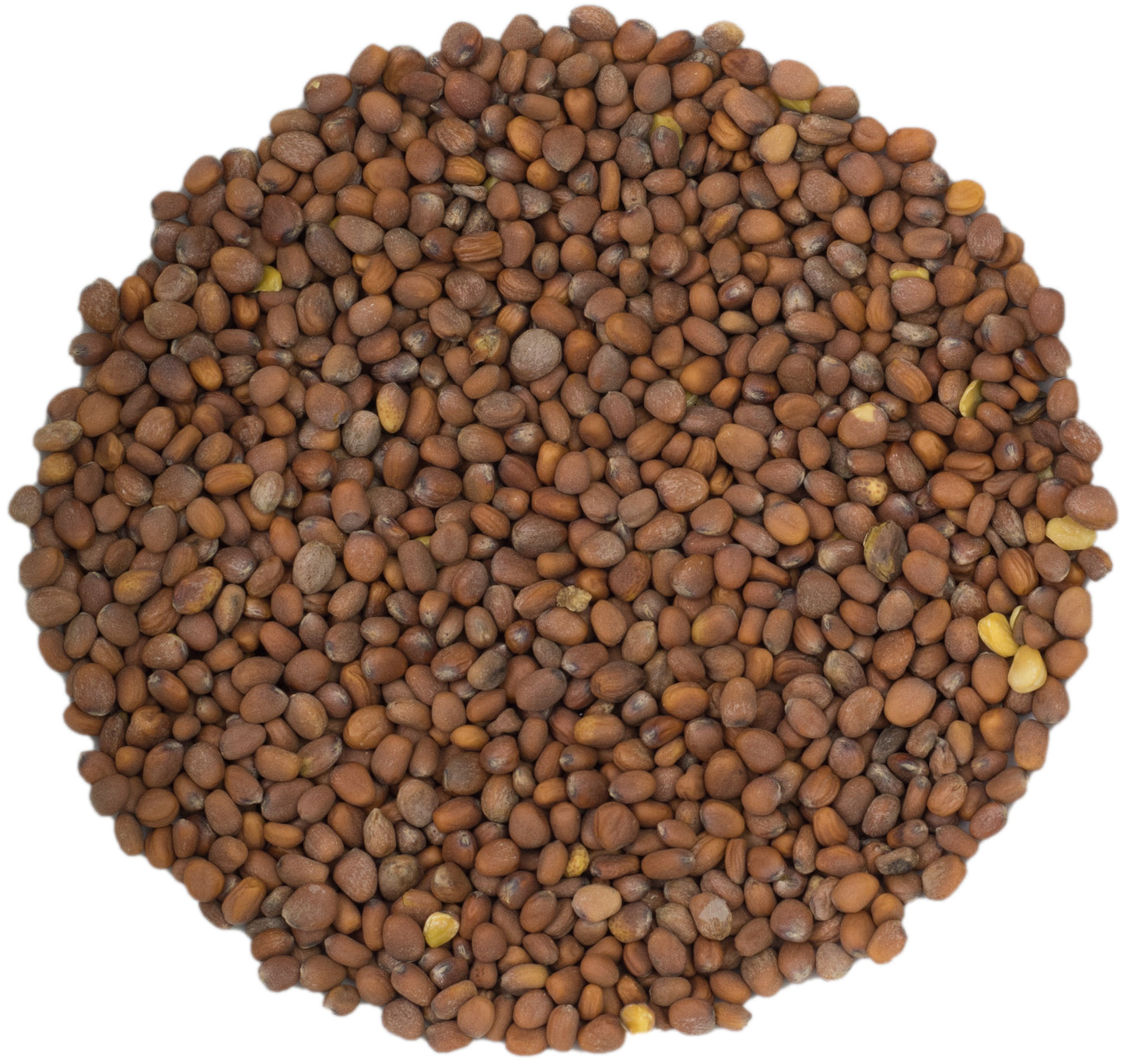 microgreen refill portion | organic sprouting seed and natural hemp grow mat