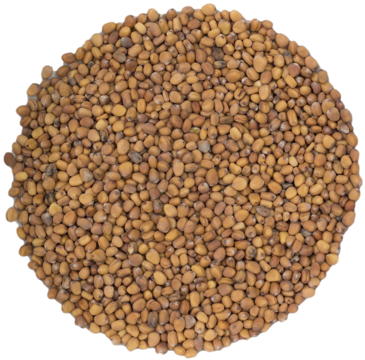 microgreen refill portion | organic sprouting seed and natural hemp grow mat