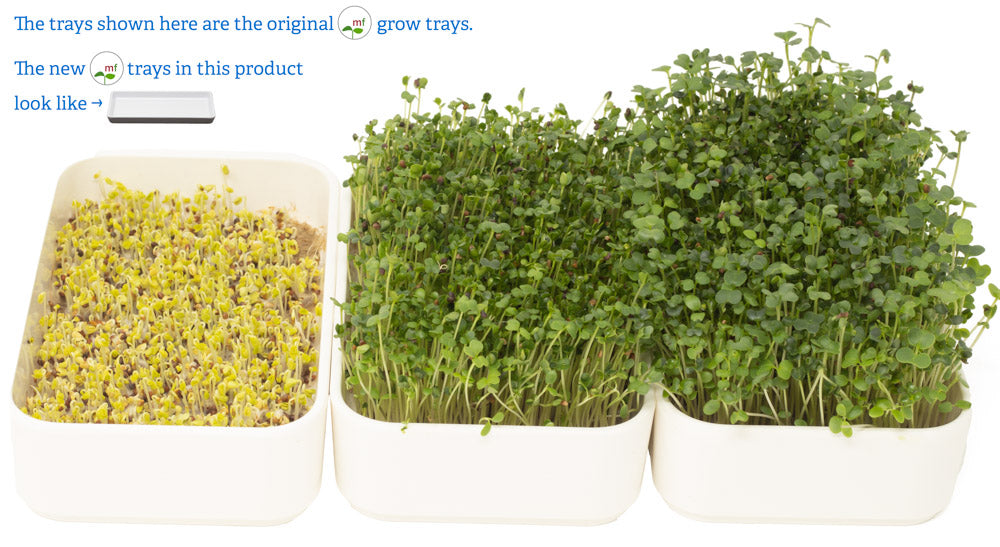 sweet greens microgreens grow kit | grow a delicious blend of broccoli, kale, rapini and clover microgreens