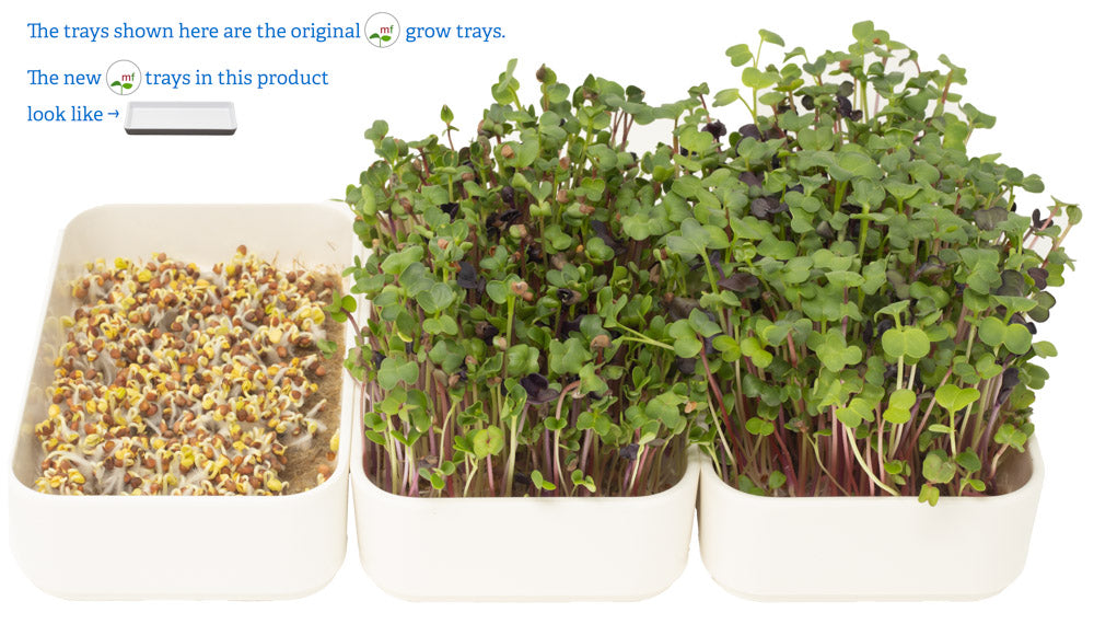 microgreens grow kit with tray | variety pack | 24 refills, 6 reusable trays, organic seed mixes