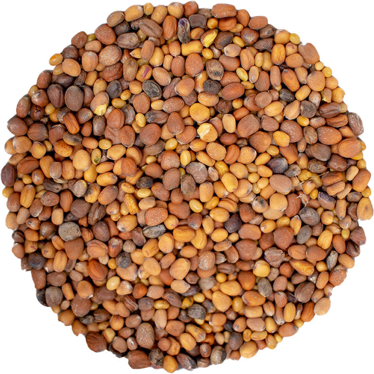 microgreen refill portion | organic sprouting seed and natural hemp grow mat