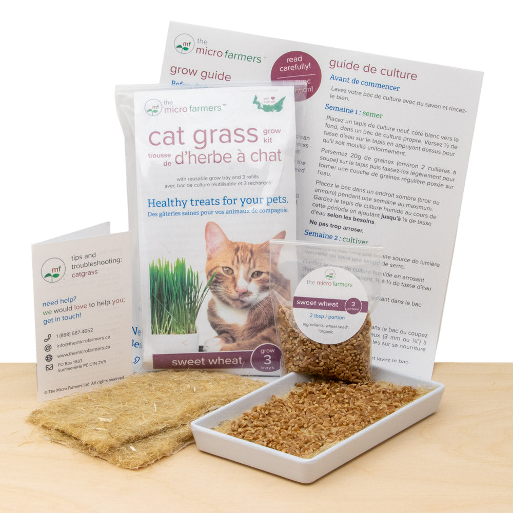 pet grass / cat grass grow kit with tray | organic hard red spring wheat seed, natural hemp grow mats