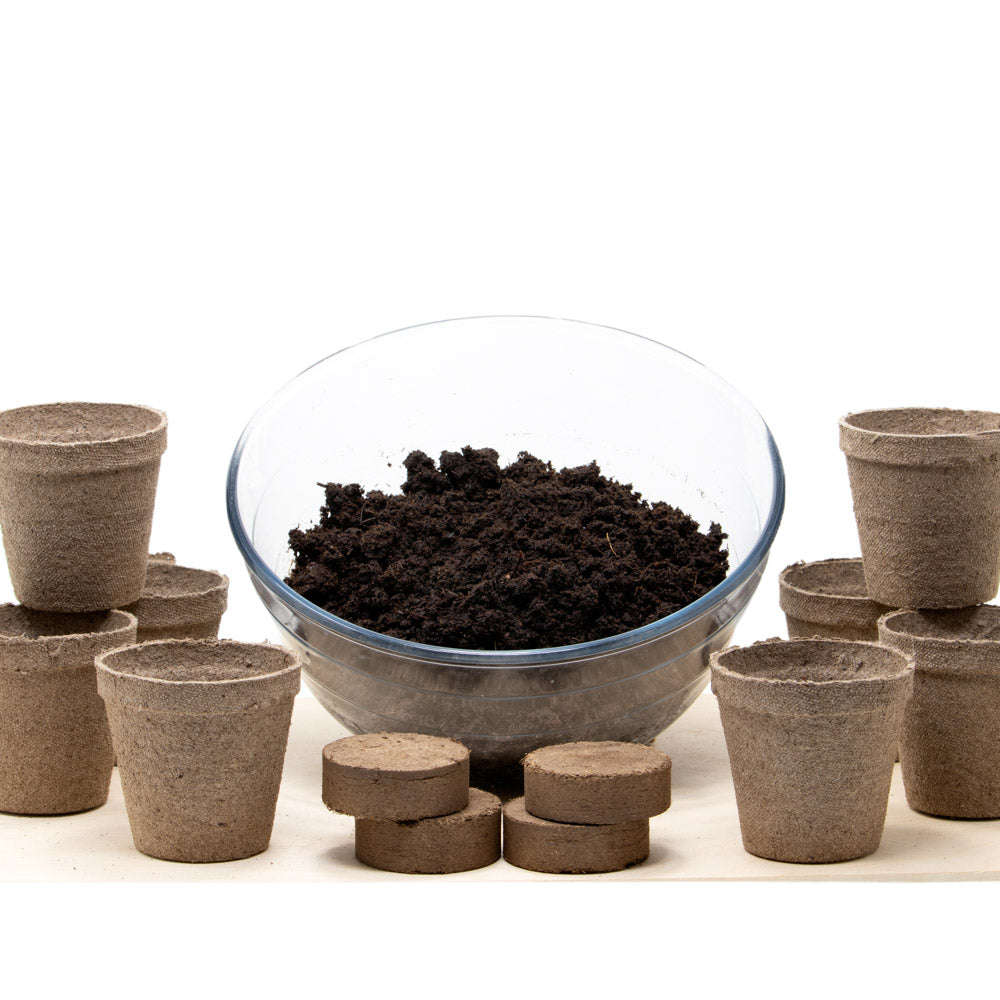 Salad Garden Kit