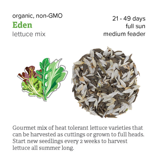organic lettuce seed | "Eden" Mix | delicous mix of heat tollerant lettuce seeds