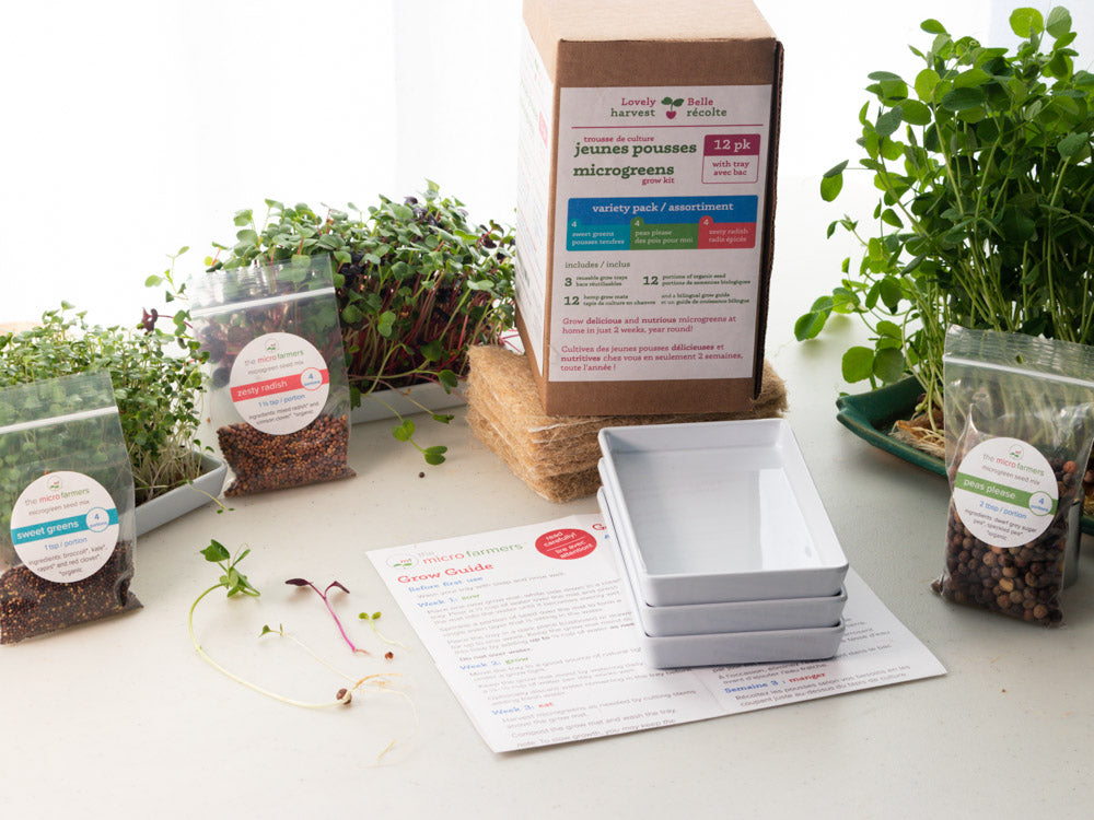 Microgreen Grow Kit | 12 refills, 3 reusable trays, Organic Seed Mixes