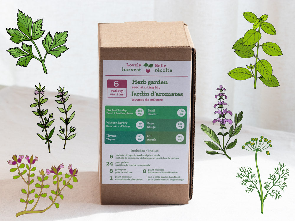 Lovely Harvest 6 Variety Herb Garden Seed Starting Kit