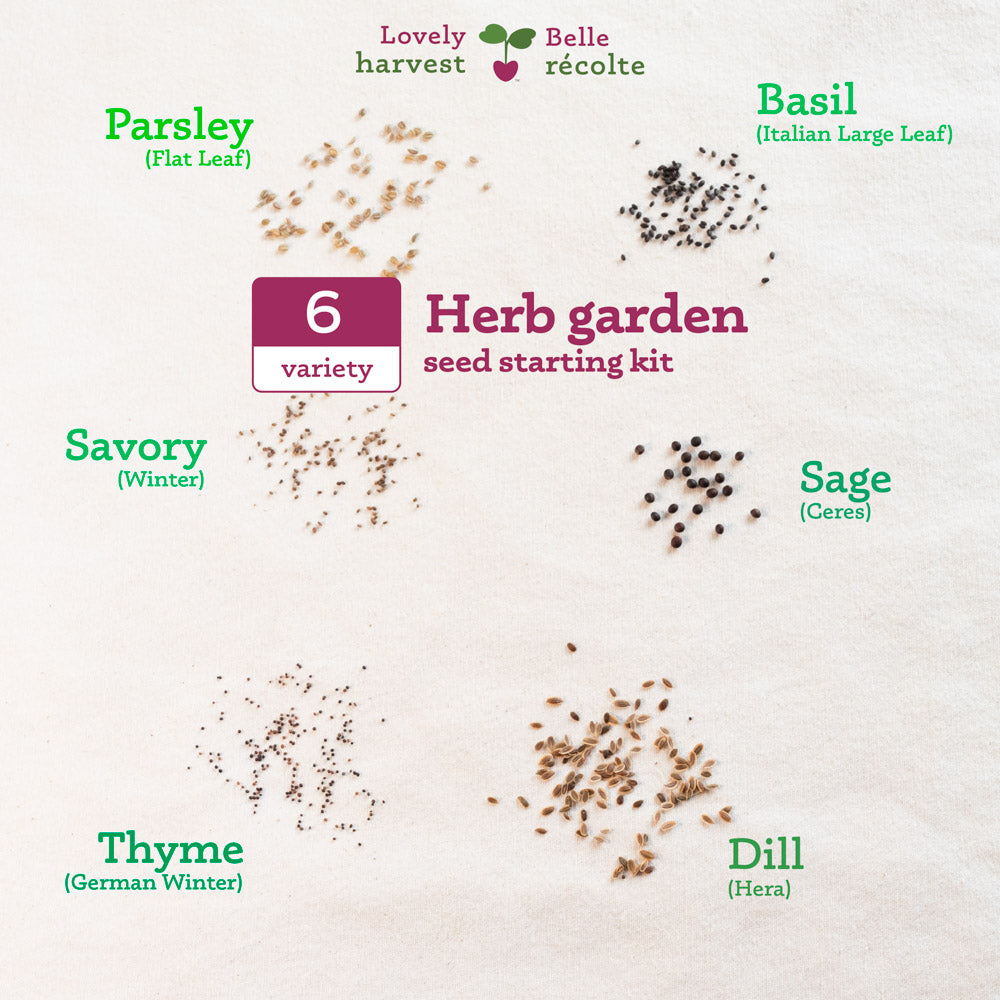 Lovely Harvest 6 Variety Herb Garden Seed Starting Kit