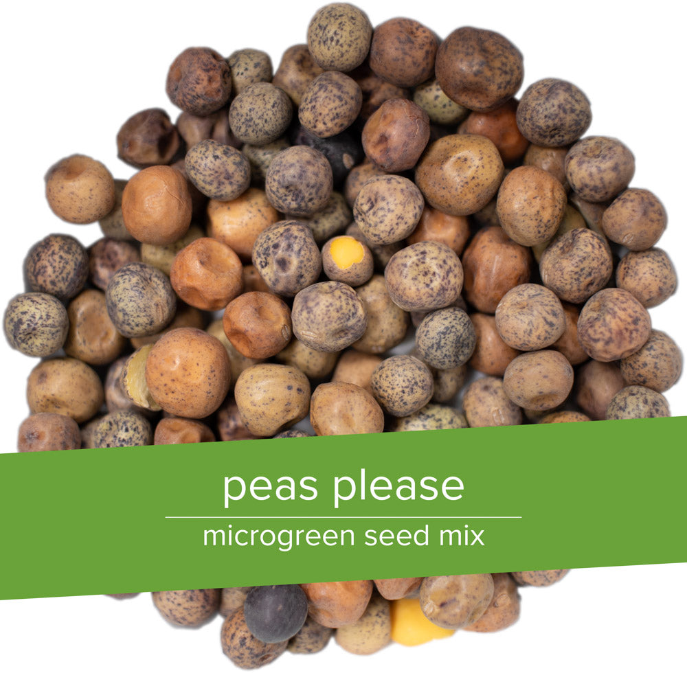 Intro to microgreens grow kit - Peas Please organic peashoot seed mix