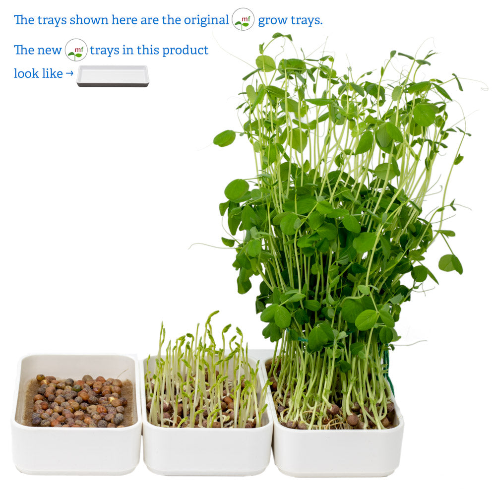 peashoot microgreens grow kit | grow a delicious blend of peashoot microgreens with natural hemp grow mats