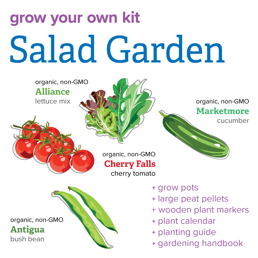 complete salad garden growing kit | grow tomatoes, lettuce, cucumber and from organic seed | includes grow pots, growing medium  seed, growing pots and medium, complete bilingual growing booklet and more