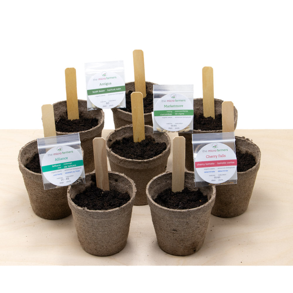 complete salad garden growing kit | grow tomatoes, lettuce, cucumber and from organic seed | includes grow pots, growing medium  seed, growing pots and medium, complete bilingual growing booklet and more