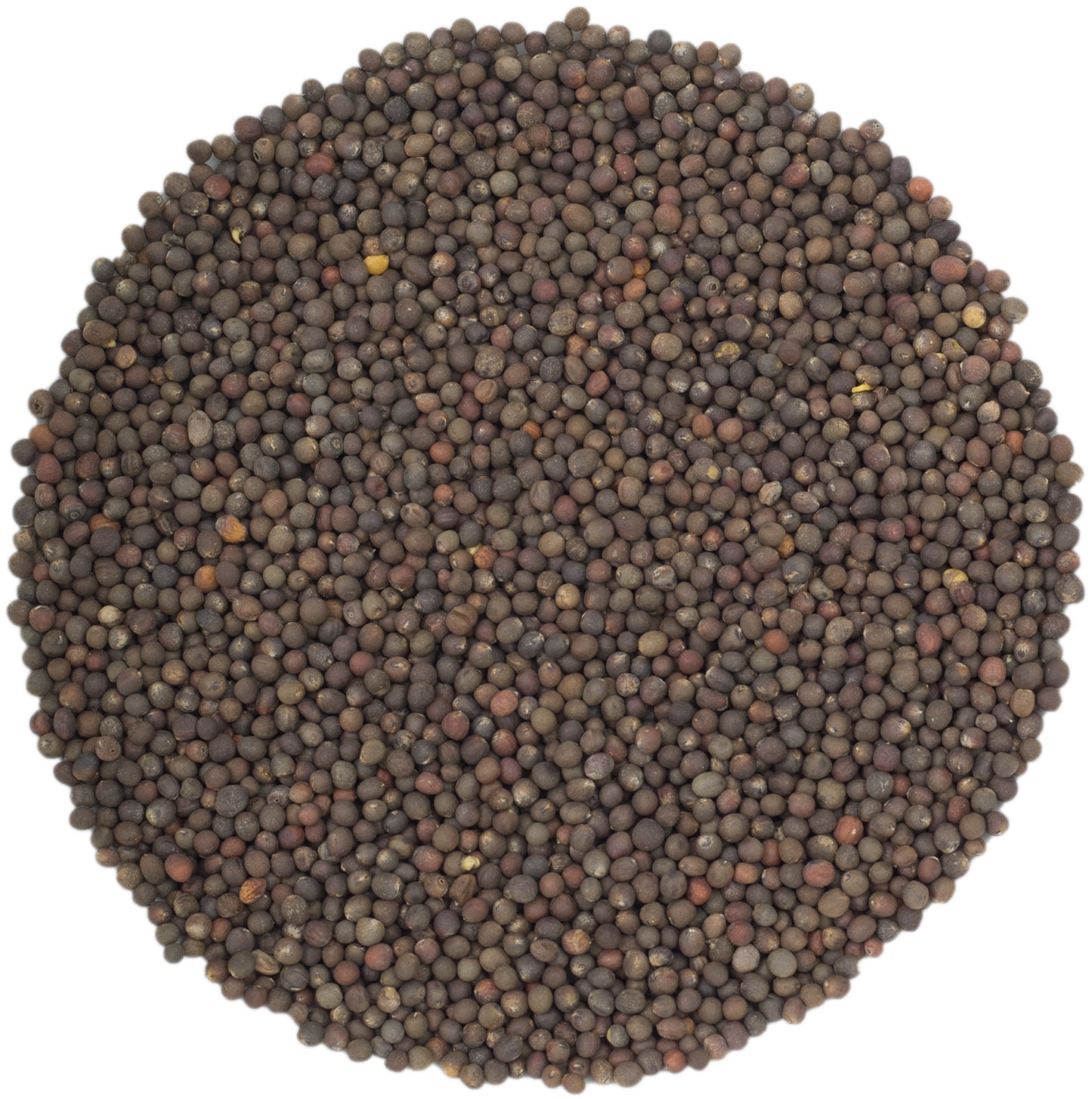 microgreen refill portion | organic sprouting seed and natural hemp grow mat