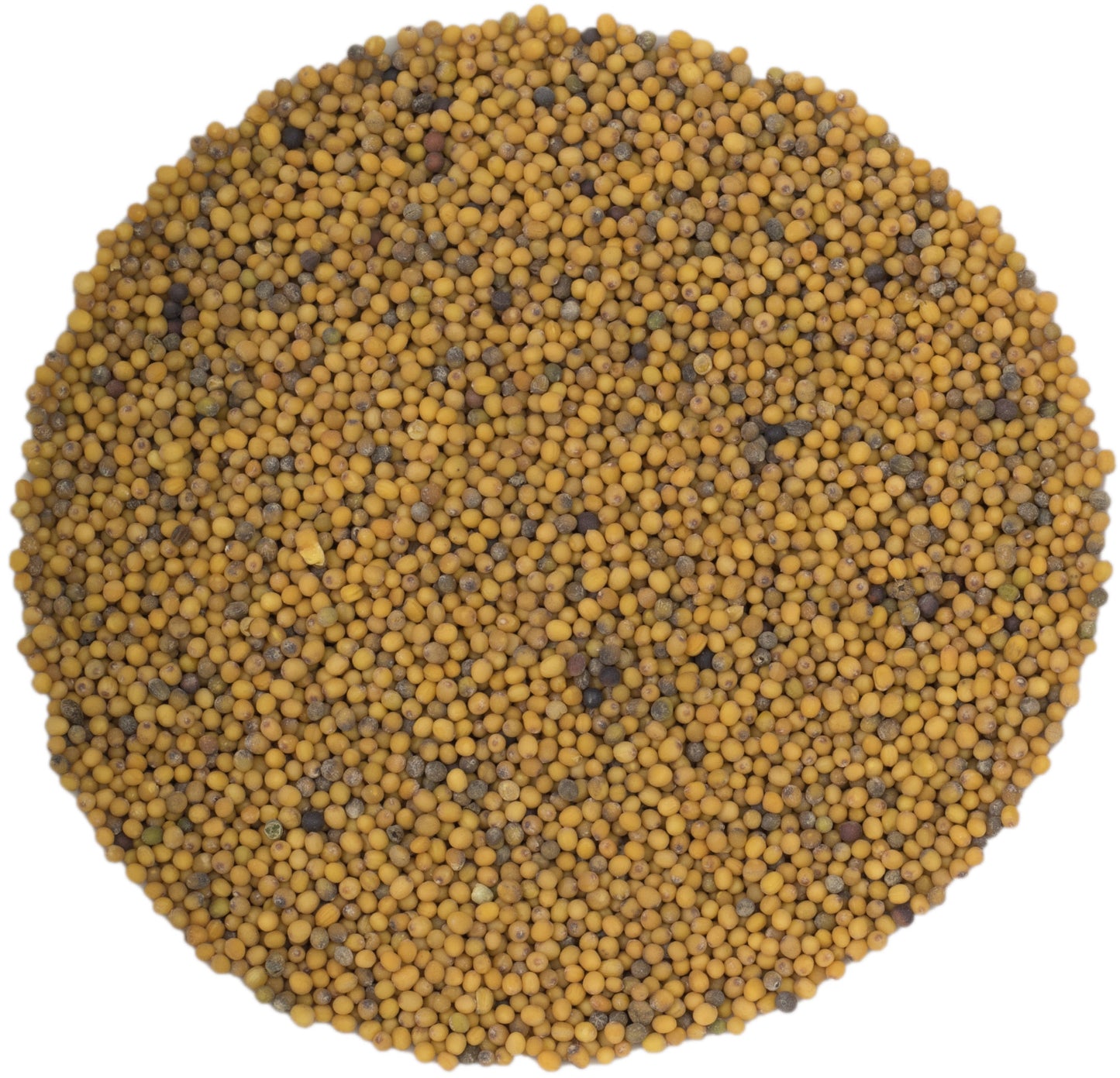 microgreen refill portion | organic sprouting seed and natural hemp grow mat