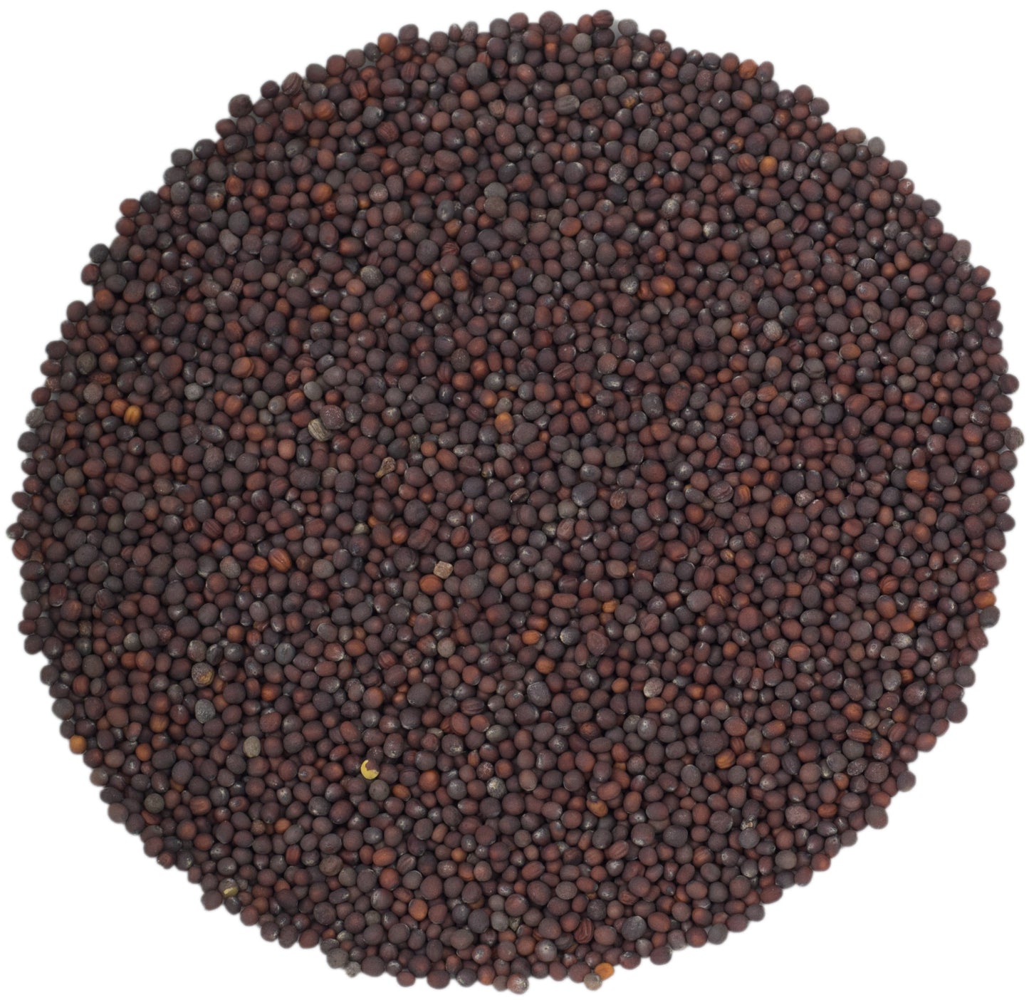 microgreen refill portion | organic sprouting seed and natural hemp grow mat