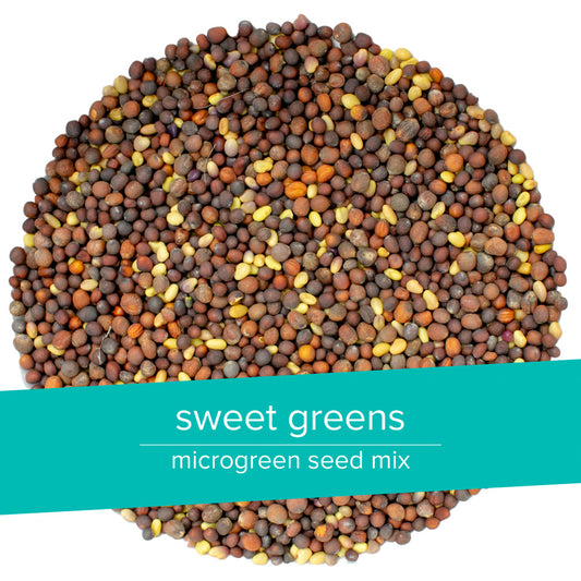 microgreen seed mixes (bulk) | with 100% organic seeds