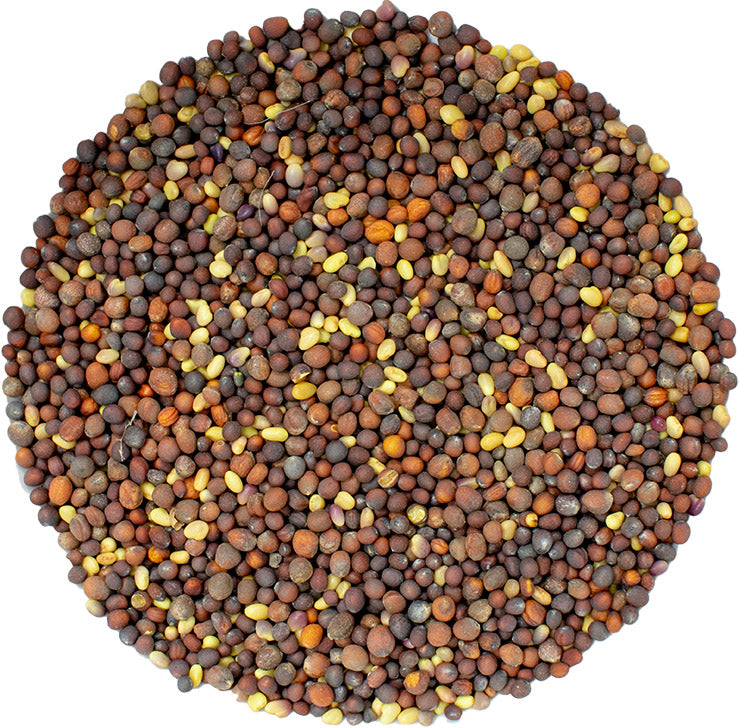 microgreen refill portion | organic sprouting seed and natural hemp grow mat