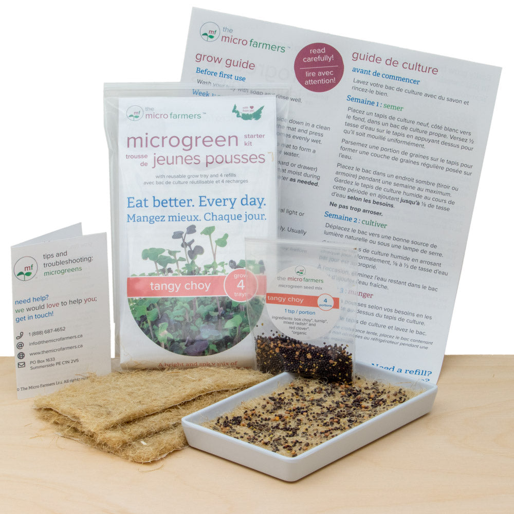 Intro to microgreens grow kit - Tangy Choy organic seed mix (bok choy, turnip, radish, clover)