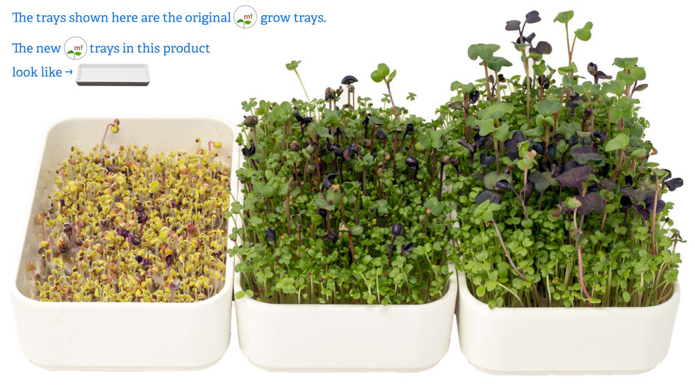 Intro to microgreens grow kit - Tangy Choy organic seed mix (bok choy, turnip, radish, clover)