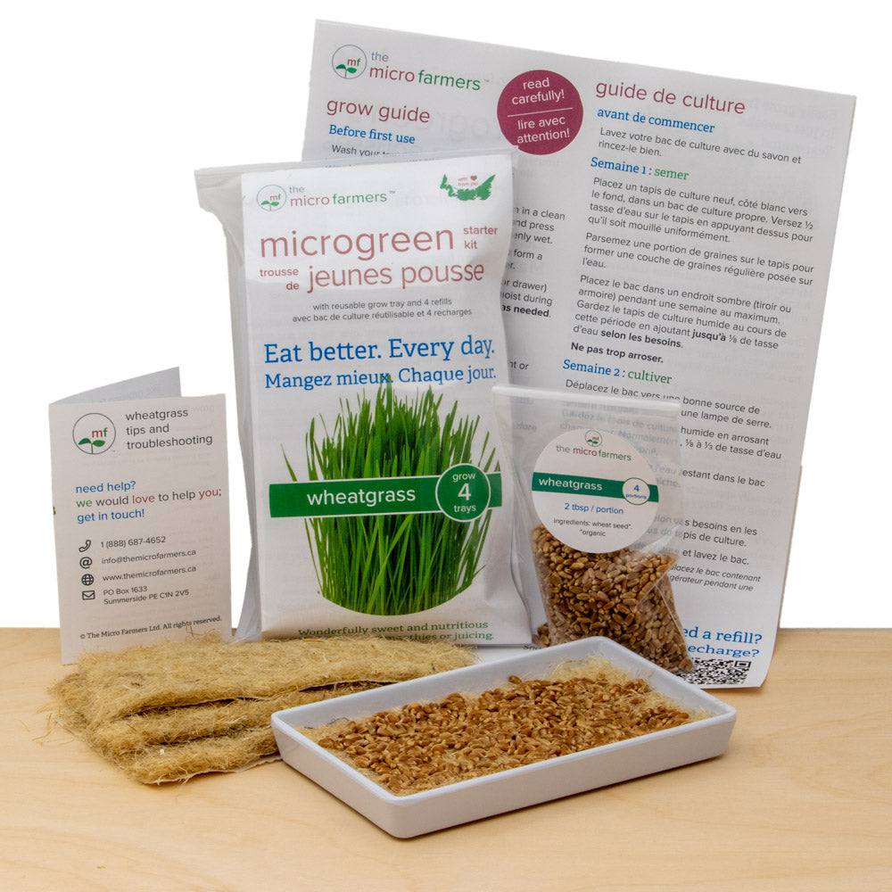 wheatgras grow kit with tray | organic hard red spring wheat seed, natural hemp grow mats